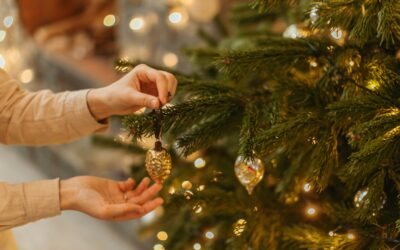 Environmental Benefits of REAL Christmas Trees